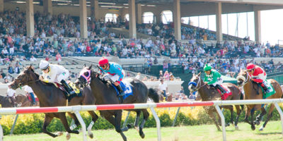 limobuses horse racing del mar limousines