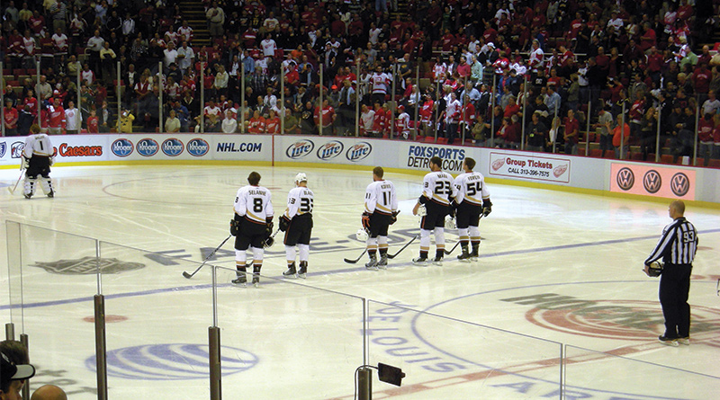Anaheim Ducks image