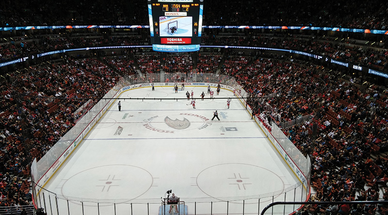 Anaheim Ducks image
