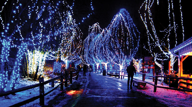 Christmas Light Tour image