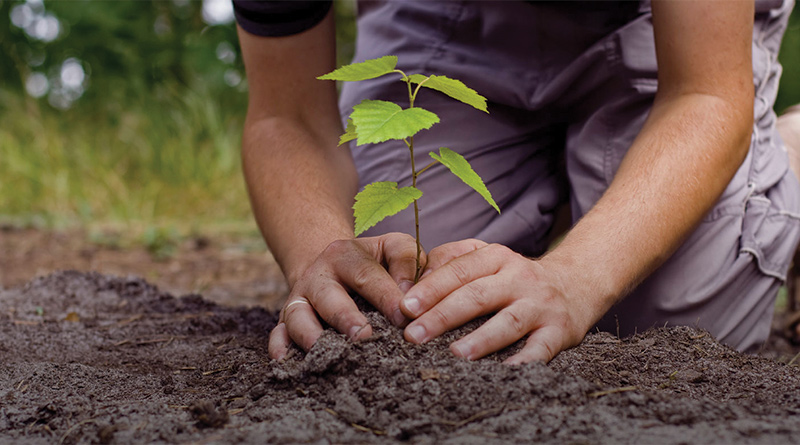 Earth Week image