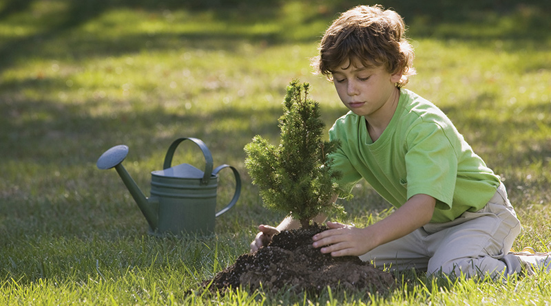 Earth Week image