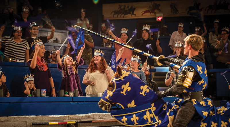 Pirates Dinner Show image