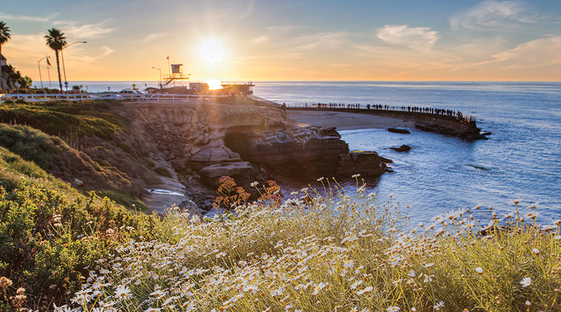 SD Coastal Tours and Sight Seeing image
