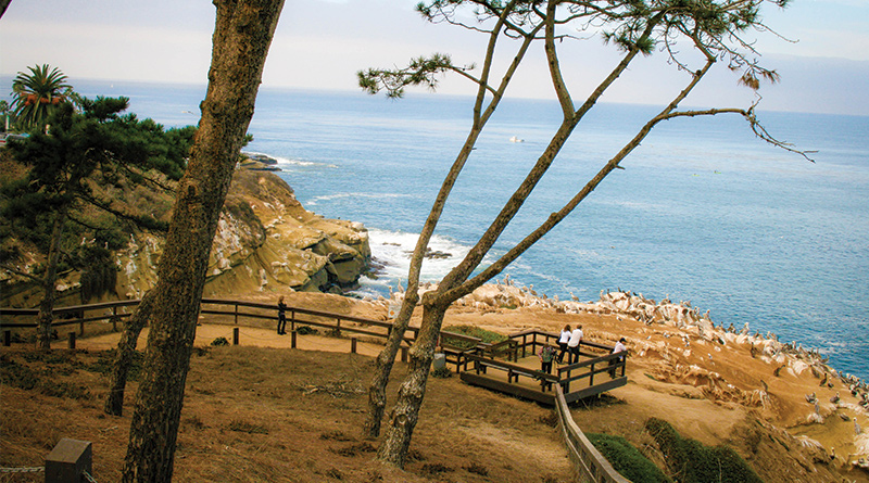 SD Coastal Tours and Sight Seeing image